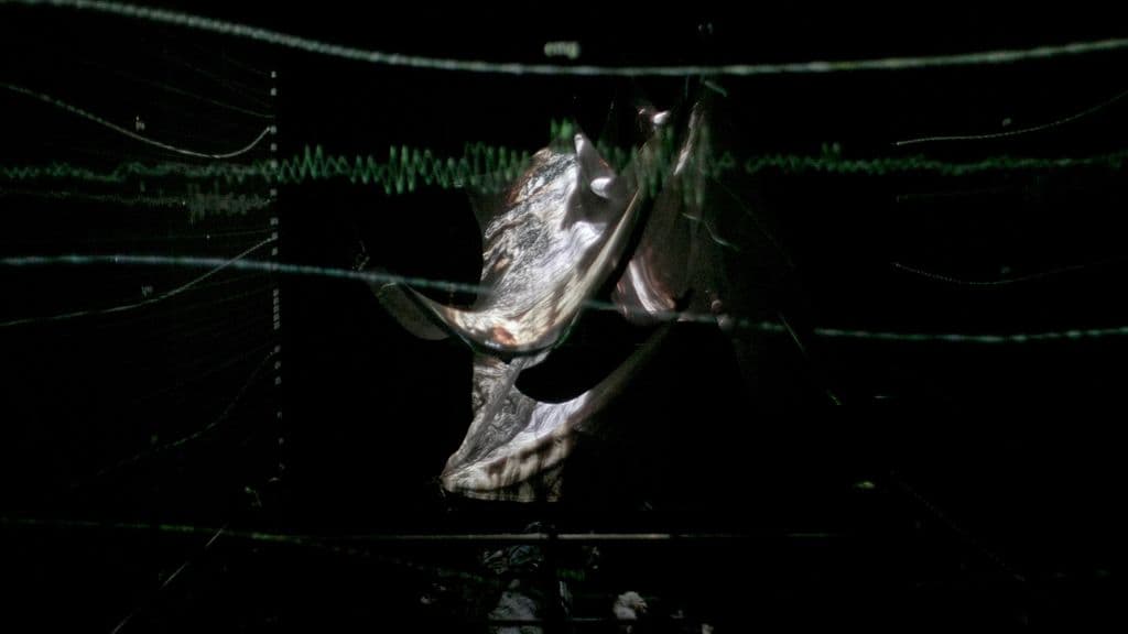 Project image 6